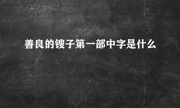 善良的锼子第一部中字是什么