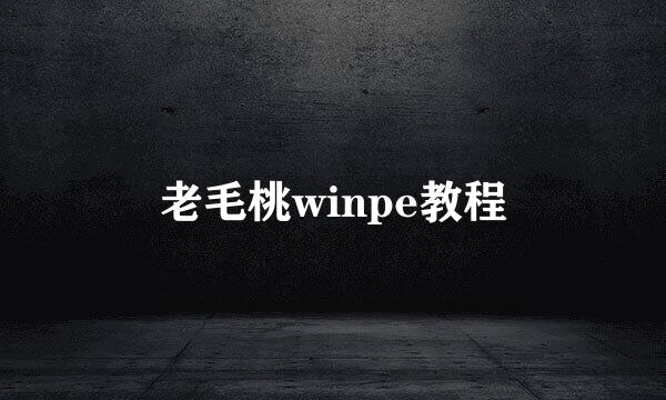 老毛桃winpe教程