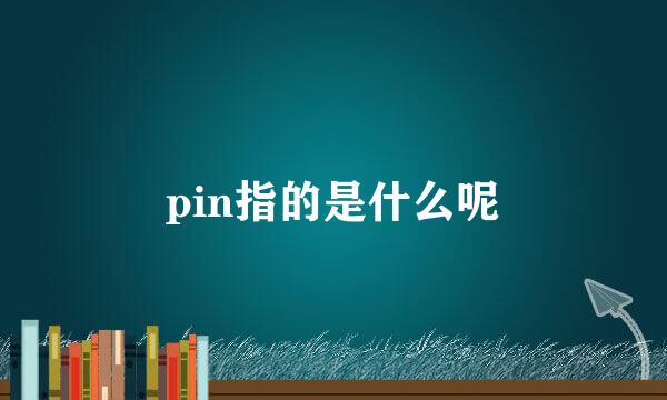 pin指的是什么呢