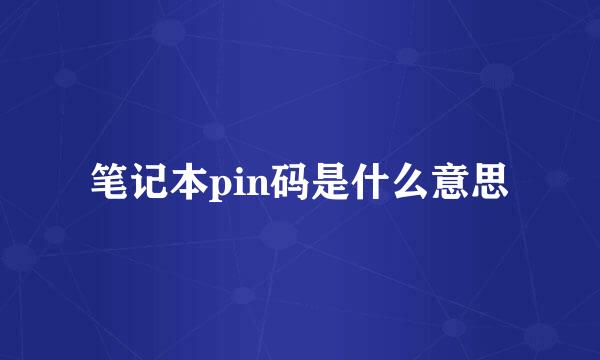 笔记本pin码是什么意思