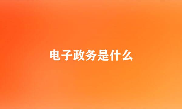 电子政务是什么