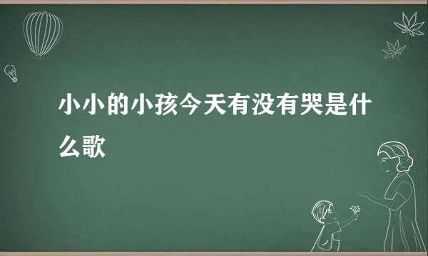 小小的小孩今天有没有哭是什么歌