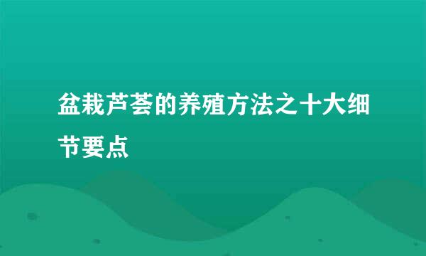 盆栽芦荟的养殖方法之十大细节要点