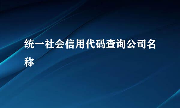 统一社会信用代码查询公司名称