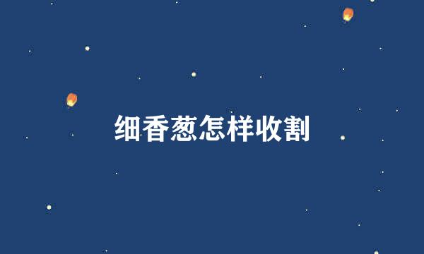 细香葱怎样收割