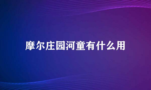 摩尔庄园河童有什么用