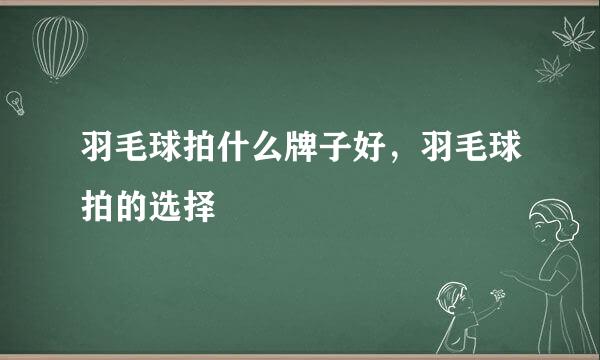 羽毛球拍什么牌子好，羽毛球拍的选择