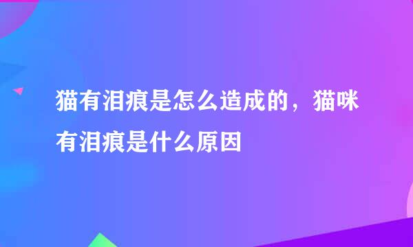 猫有泪痕是怎么造成的，猫咪有泪痕是什么原因