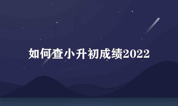 如何查小升初成绩2022