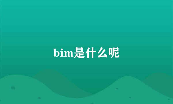 bim是什么呢