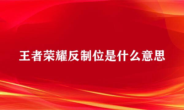 王者荣耀反制位是什么意思