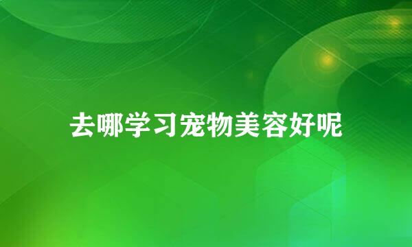 去哪学习宠物美容好呢