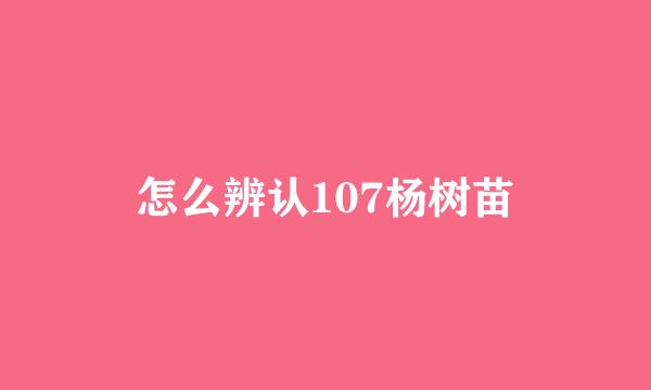 怎么辨认107杨树苗