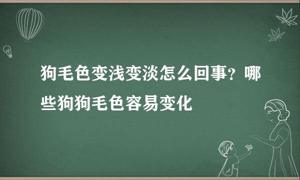 狗毛色变浅变淡怎么回事？哪些狗狗毛色容易变化