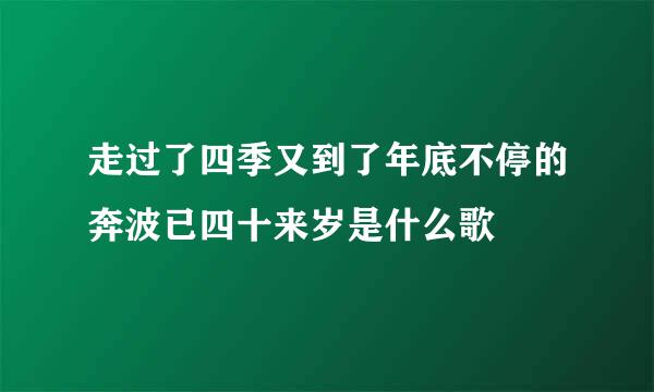 走过了四季又到了年底不停的奔波已四十来岁是什么歌