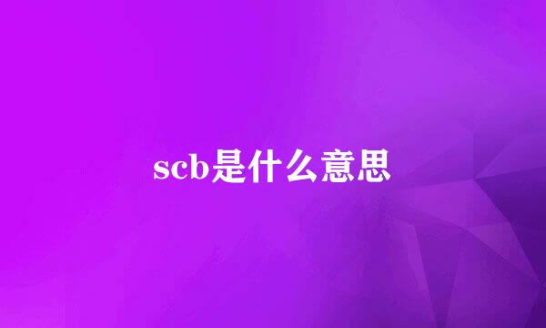 scb是什么意思