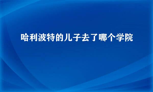 哈利波特的儿子去了哪个学院