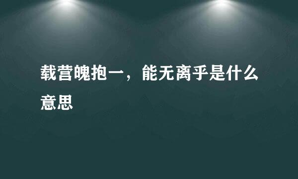 载营魄抱一，能无离乎是什么意思