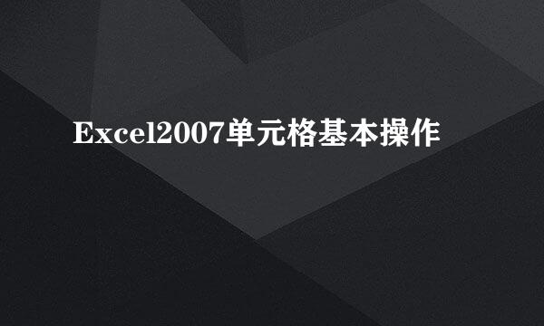 Excel2007单元格基本操作