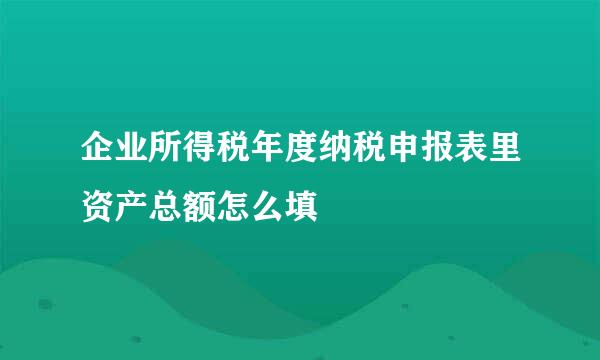 企业所得税年度纳税申报表里资产总额怎么填