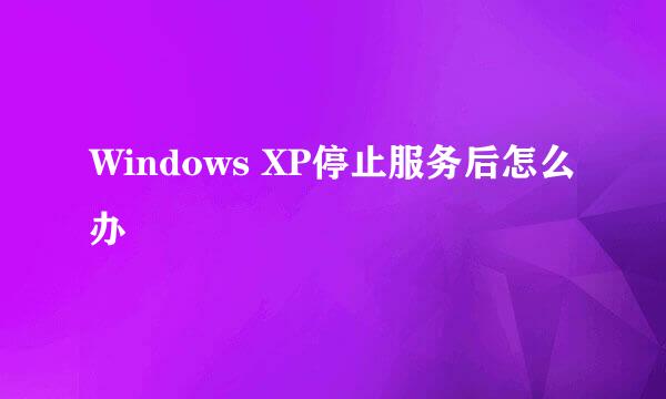 Windows XP停止服务后怎么办