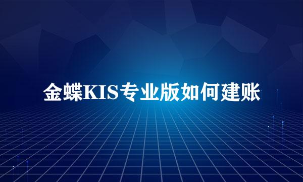 金蝶KIS专业版如何建账