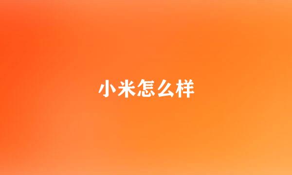 小米怎么样