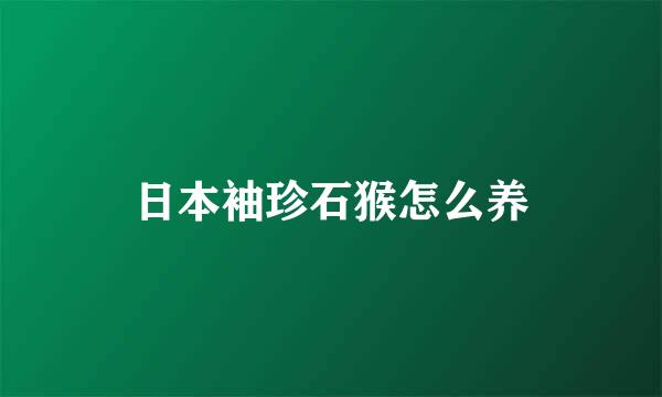 日本袖珍石猴怎么养