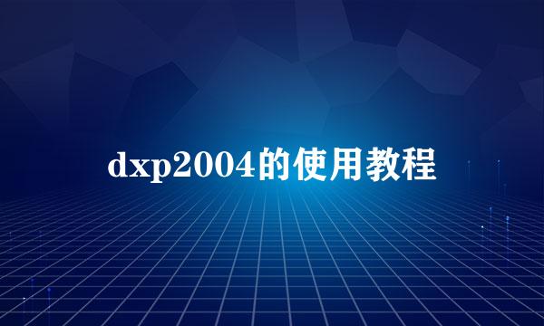 dxp2004的使用教程