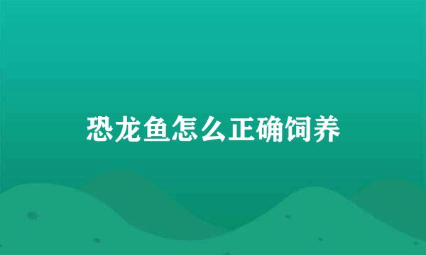 恐龙鱼怎么正确饲养