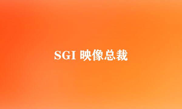 SGI 映像总裁