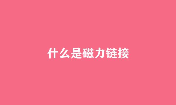 什么是磁力链接