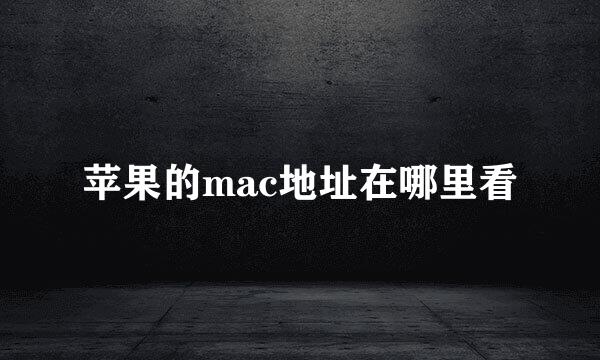 苹果的mac地址在哪里看