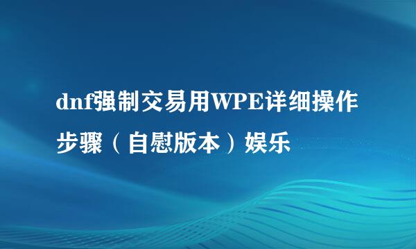 dnf强制交易用WPE详细操作步骤（自慰版本）娱乐