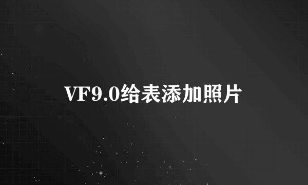 VF9.0给表添加照片