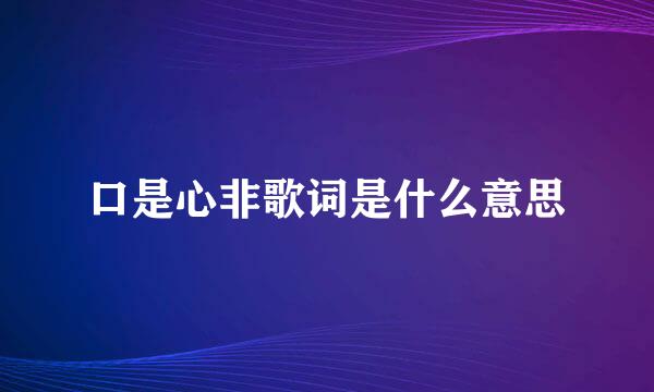 口是心非歌词是什么意思