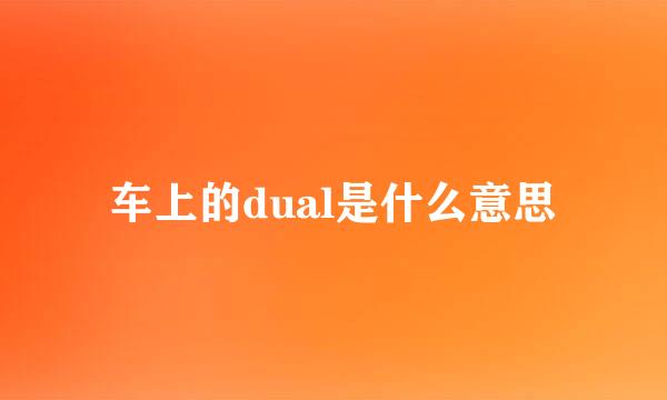 车上的dual是什么意思