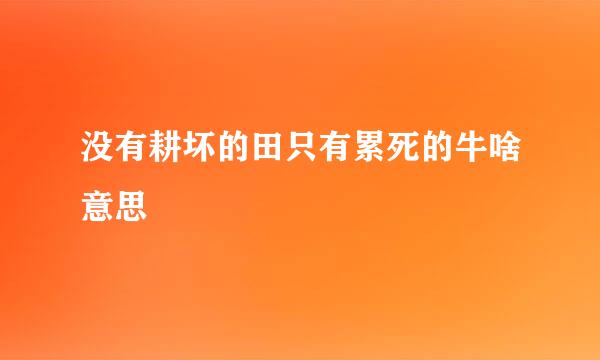 没有耕坏的田只有累死的牛啥意思