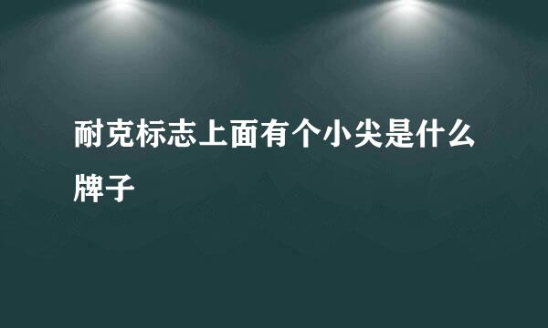 耐克标志上面有个小尖是什么牌子