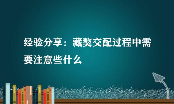 经验分享：藏獒交配过程中需要注意些什么