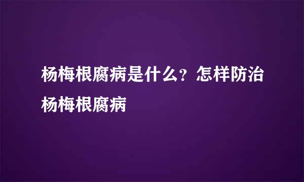 杨梅根腐病是什么？怎样防治杨梅根腐病