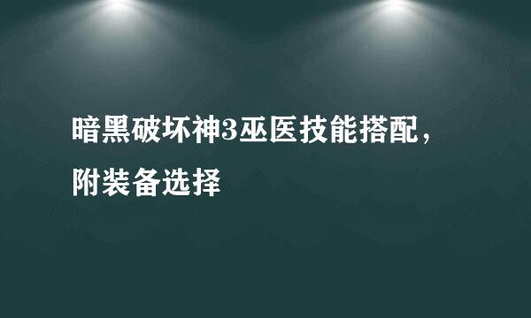 暗黑破坏神3巫医技能搭配，附装备选择