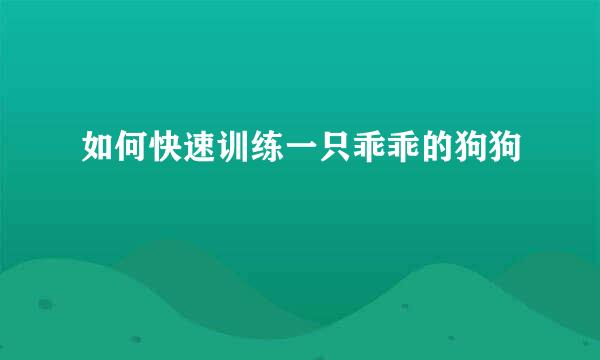 如何快速训练一只乖乖的狗狗