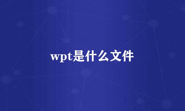 wpt是什么文件