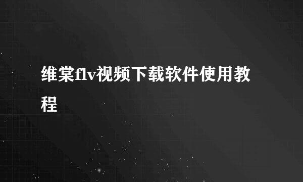 维棠flv视频下载软件使用教程