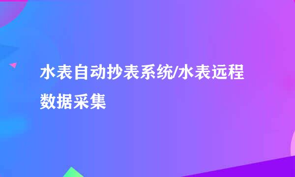 水表自动抄表系统/水表远程数据采集