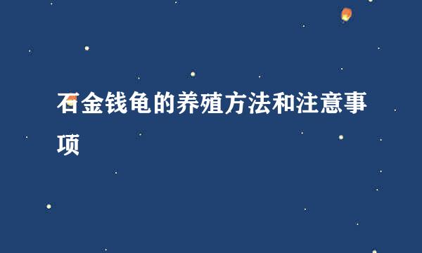 石金钱龟的养殖方法和注意事项