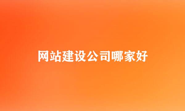 网站建设公司哪家好