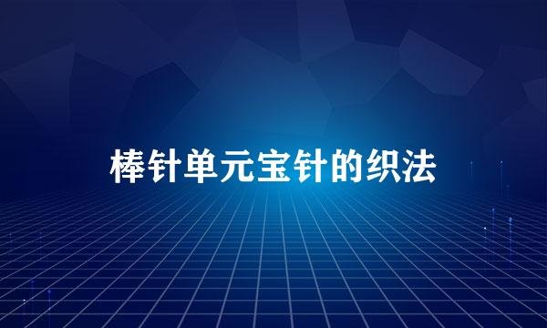 棒针单元宝针的织法