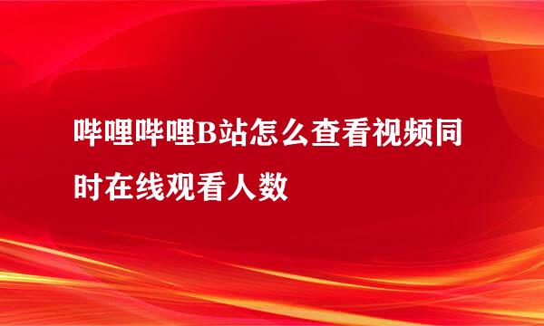 哔哩哔哩B站怎么查看视频同时在线观看人数